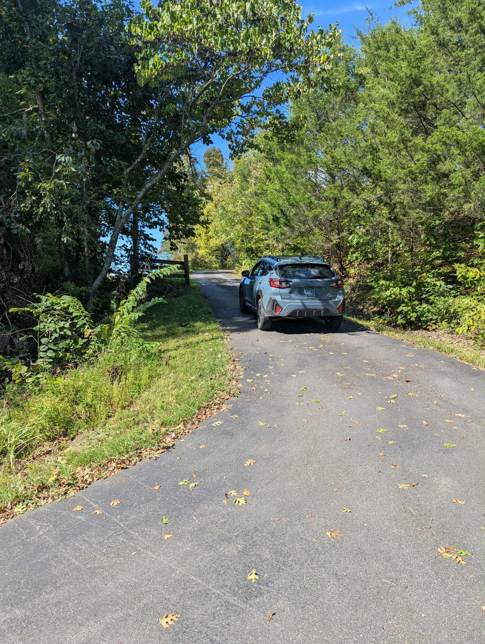 driveway hill.jpg