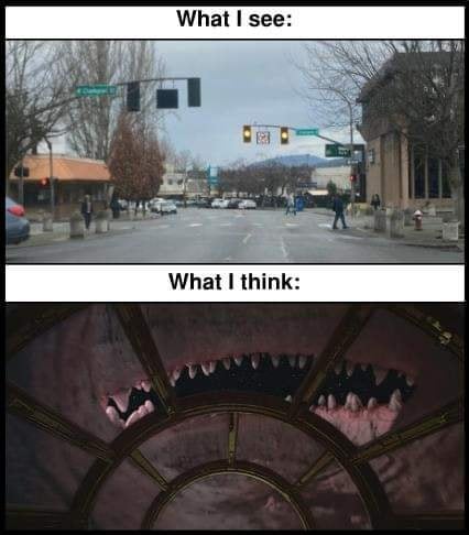 1000017217.jpg