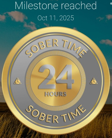 Screenshot_20251011_194205_Sober Time.jpg