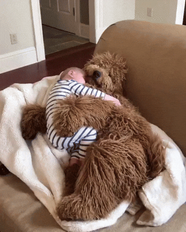 Big Dog GIF by MOODMAN.gif