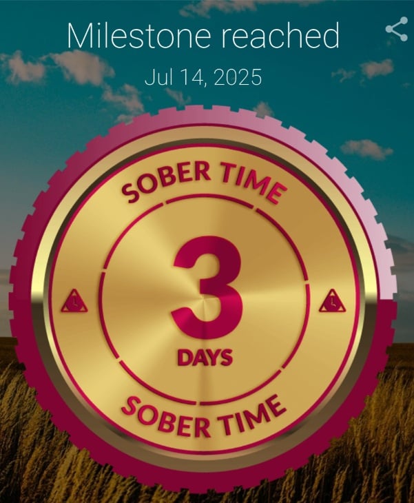 Screenshot_20250714_061239_Sober Time.jpg