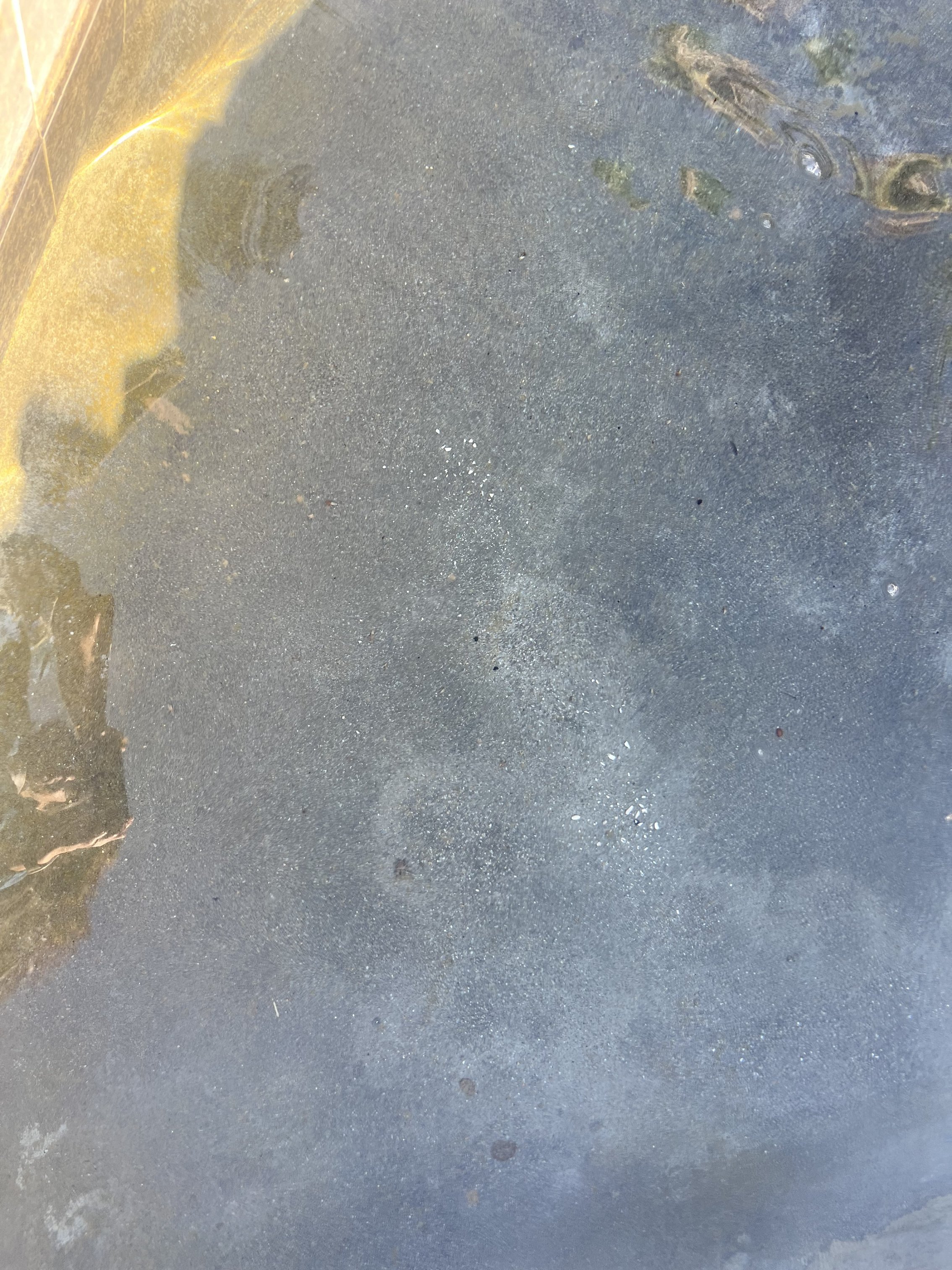 IMG_2772.jpeg