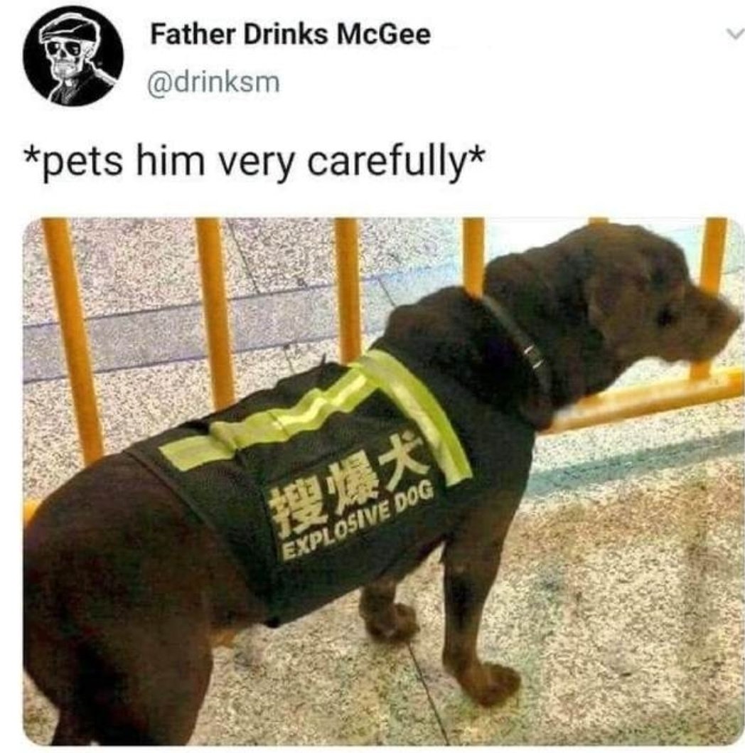 1000017113.jpg