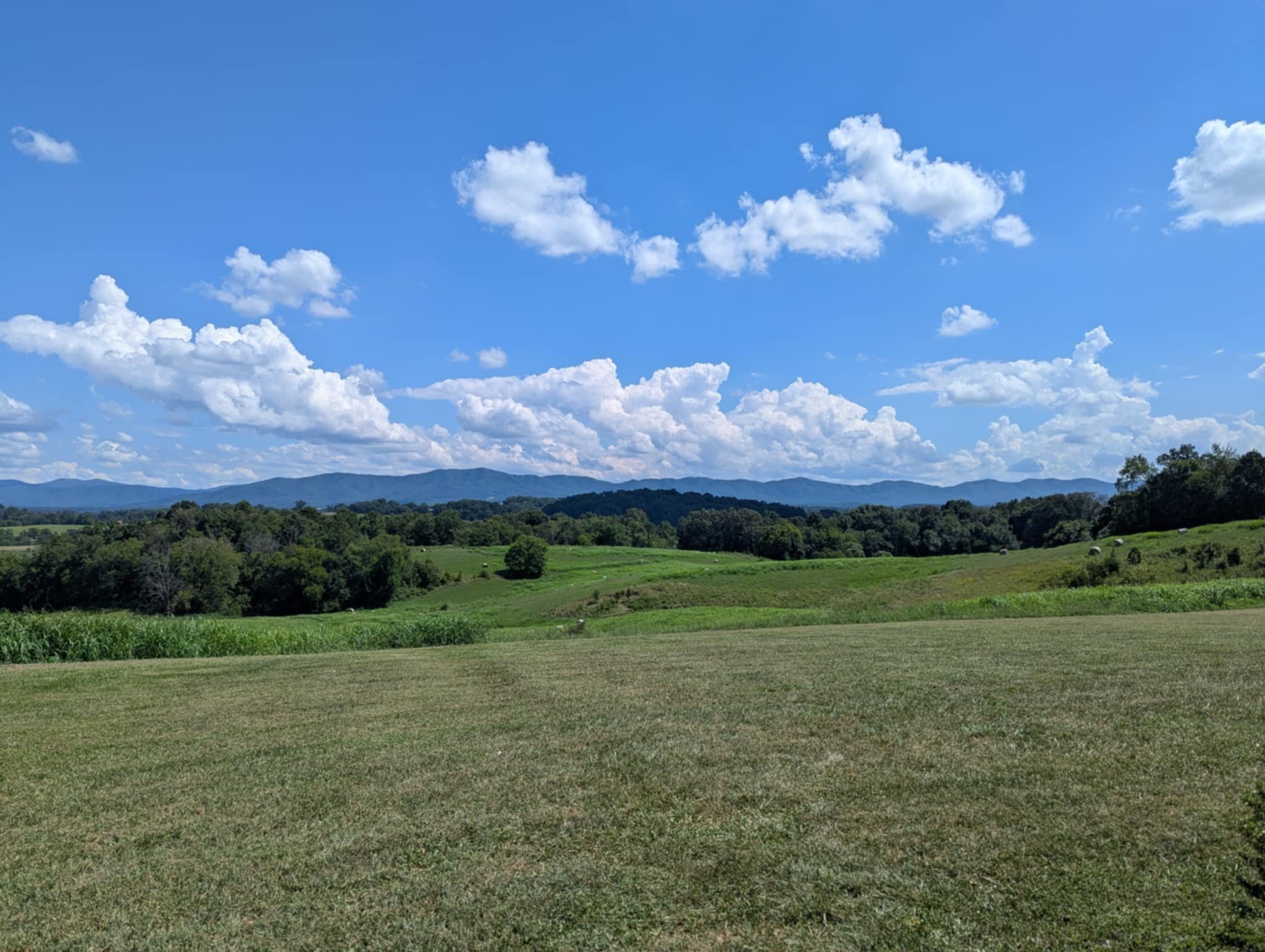 View from David Kilday's house.jpg