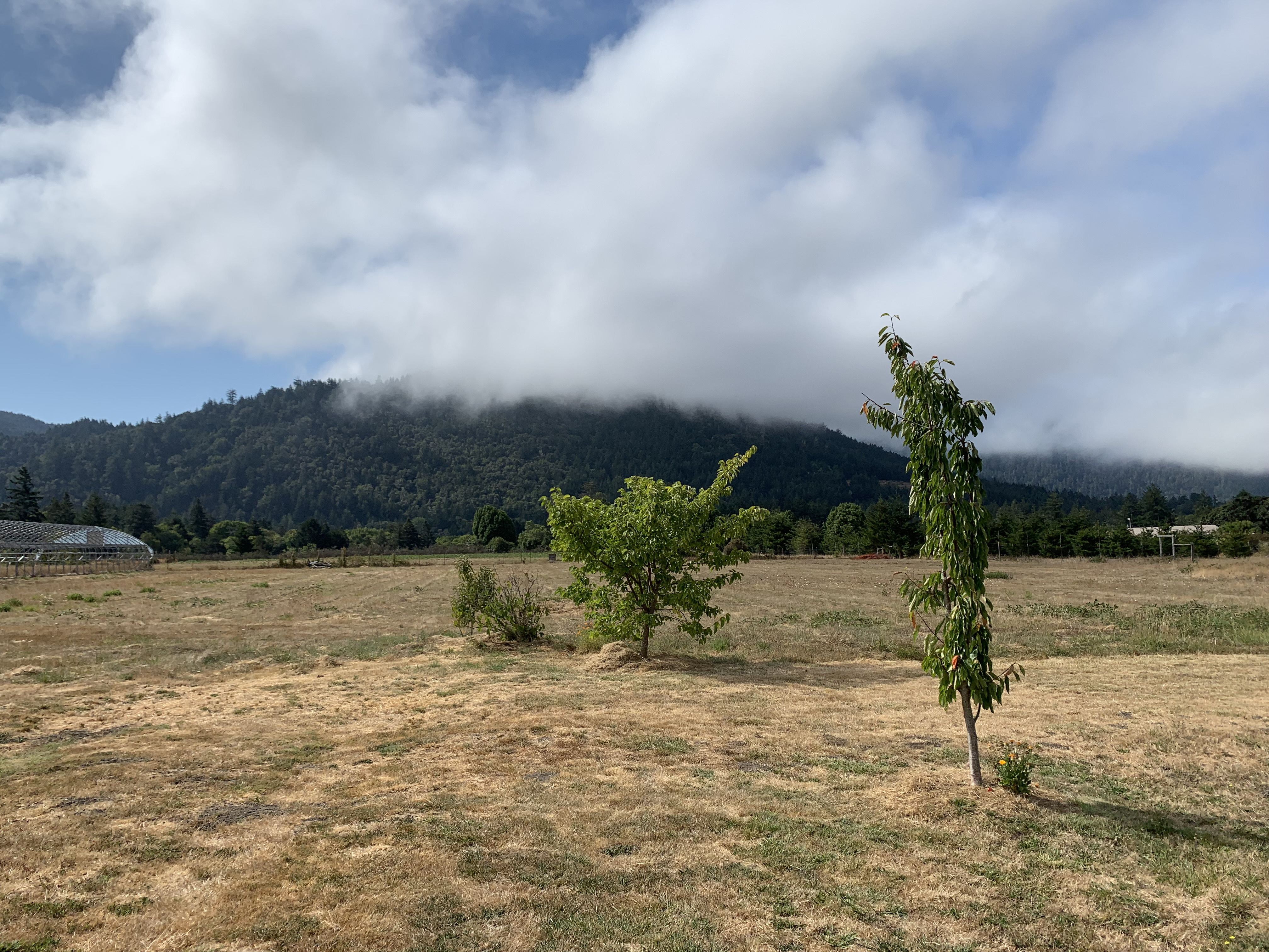 IMG_6142.jpeg