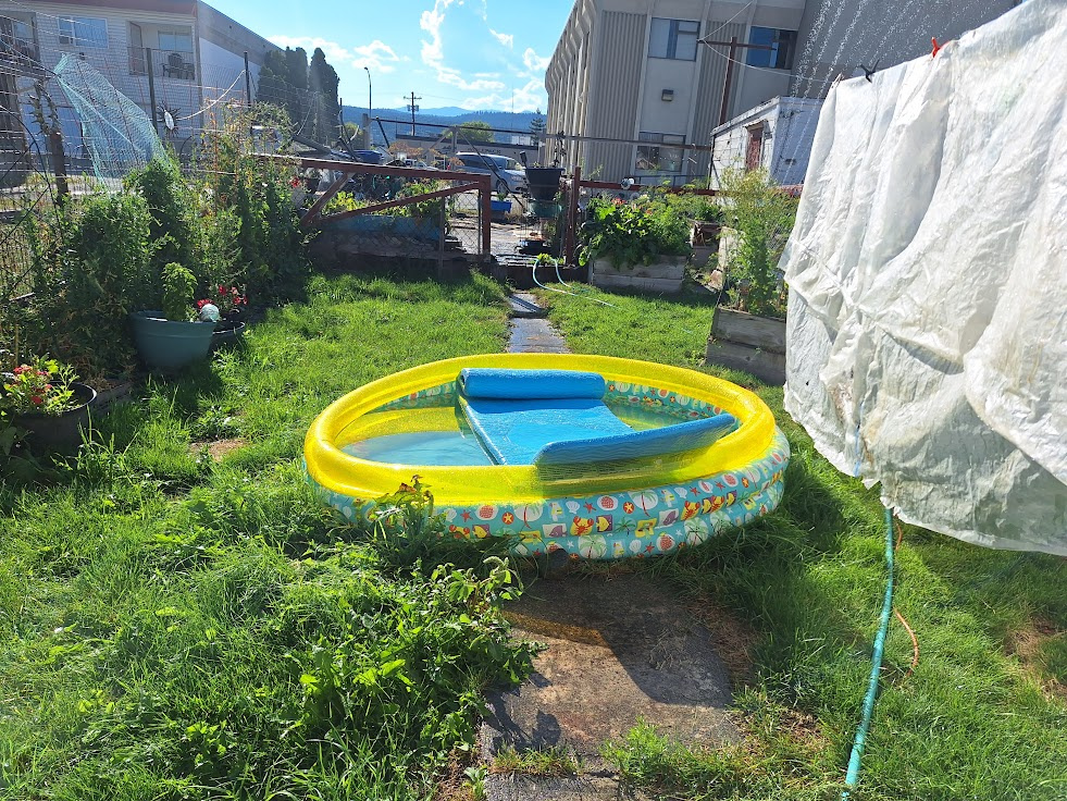 20250825_172701.jpg