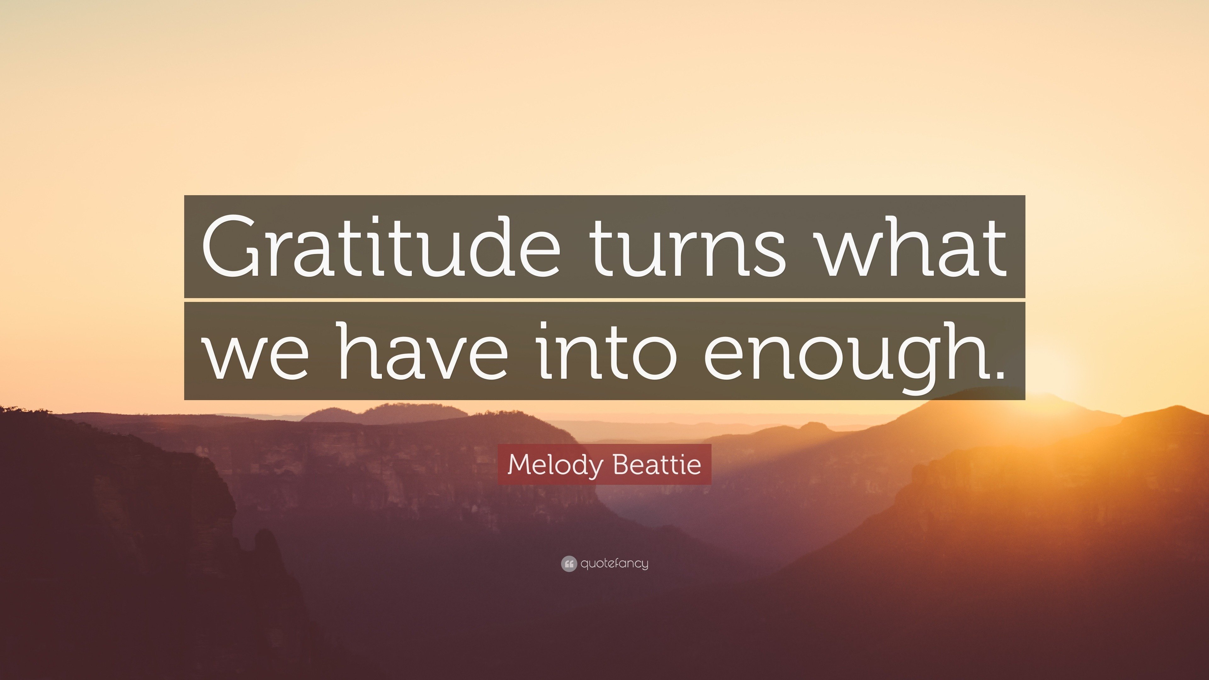gratitude turns what we have into enough.jpg