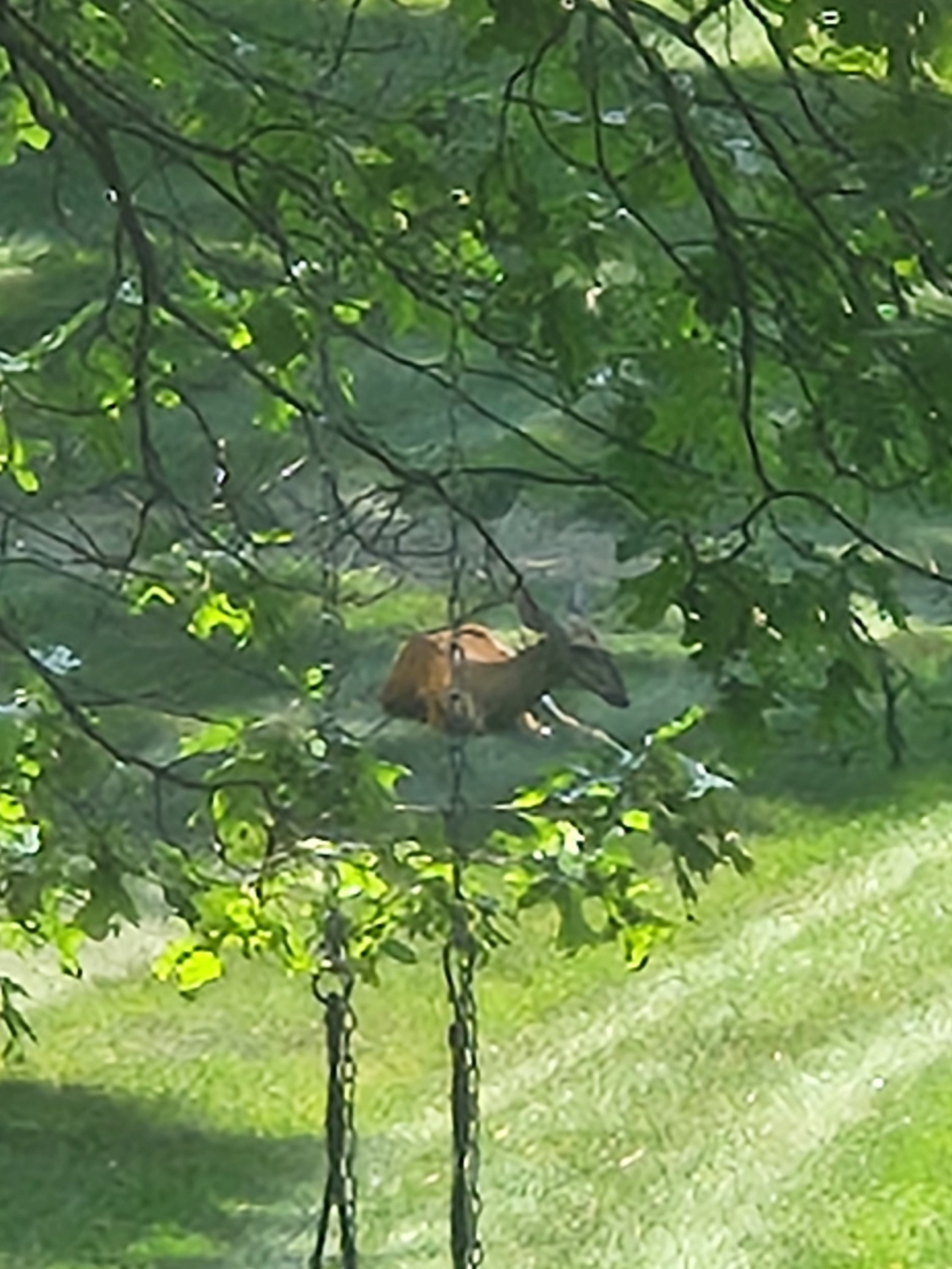 20250703_123940.jpg