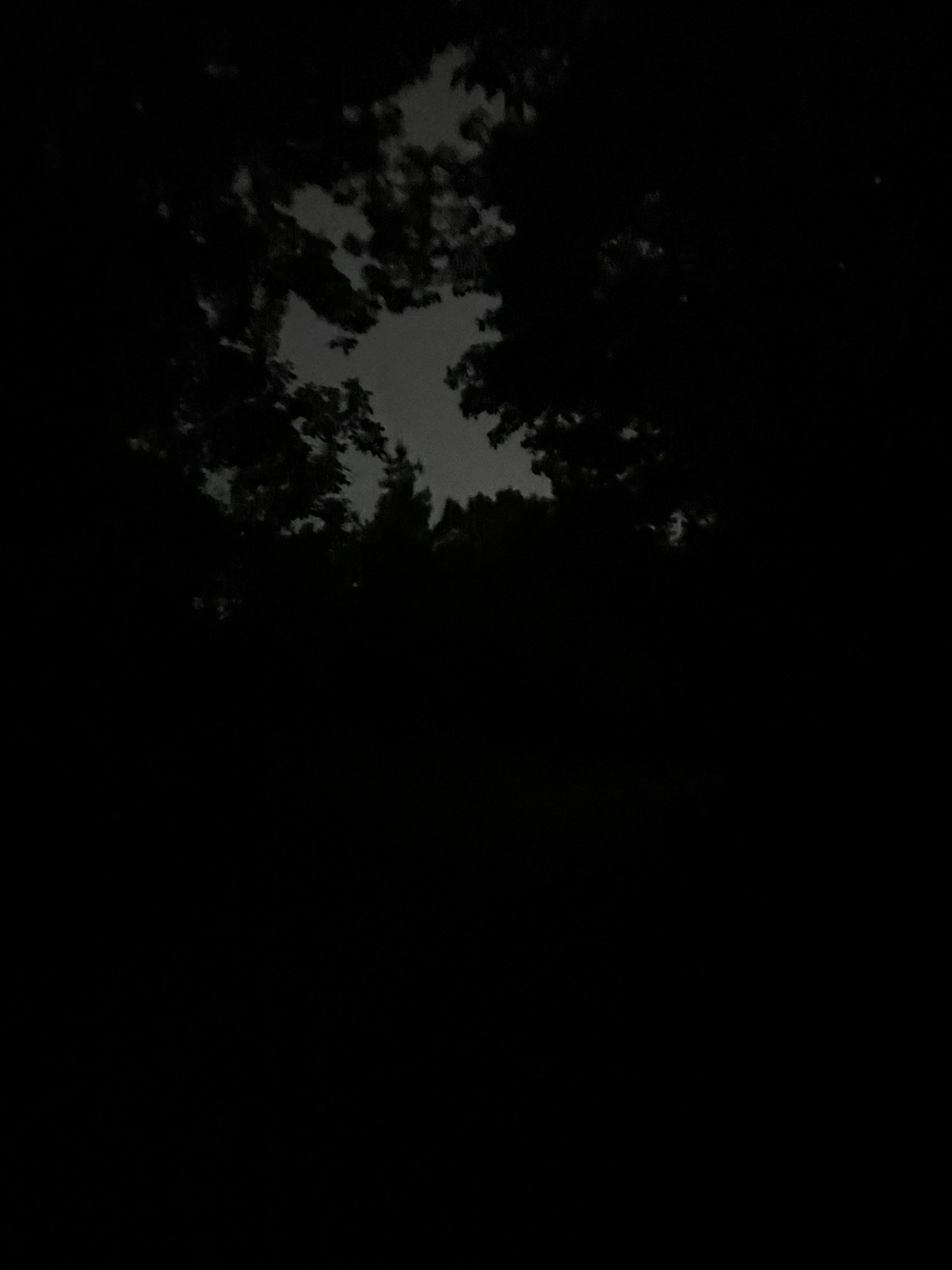 IMG_5260.jpeg