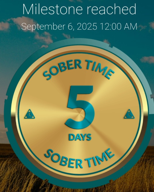 Screenshot_20250907_114222_Sober Time.jpg