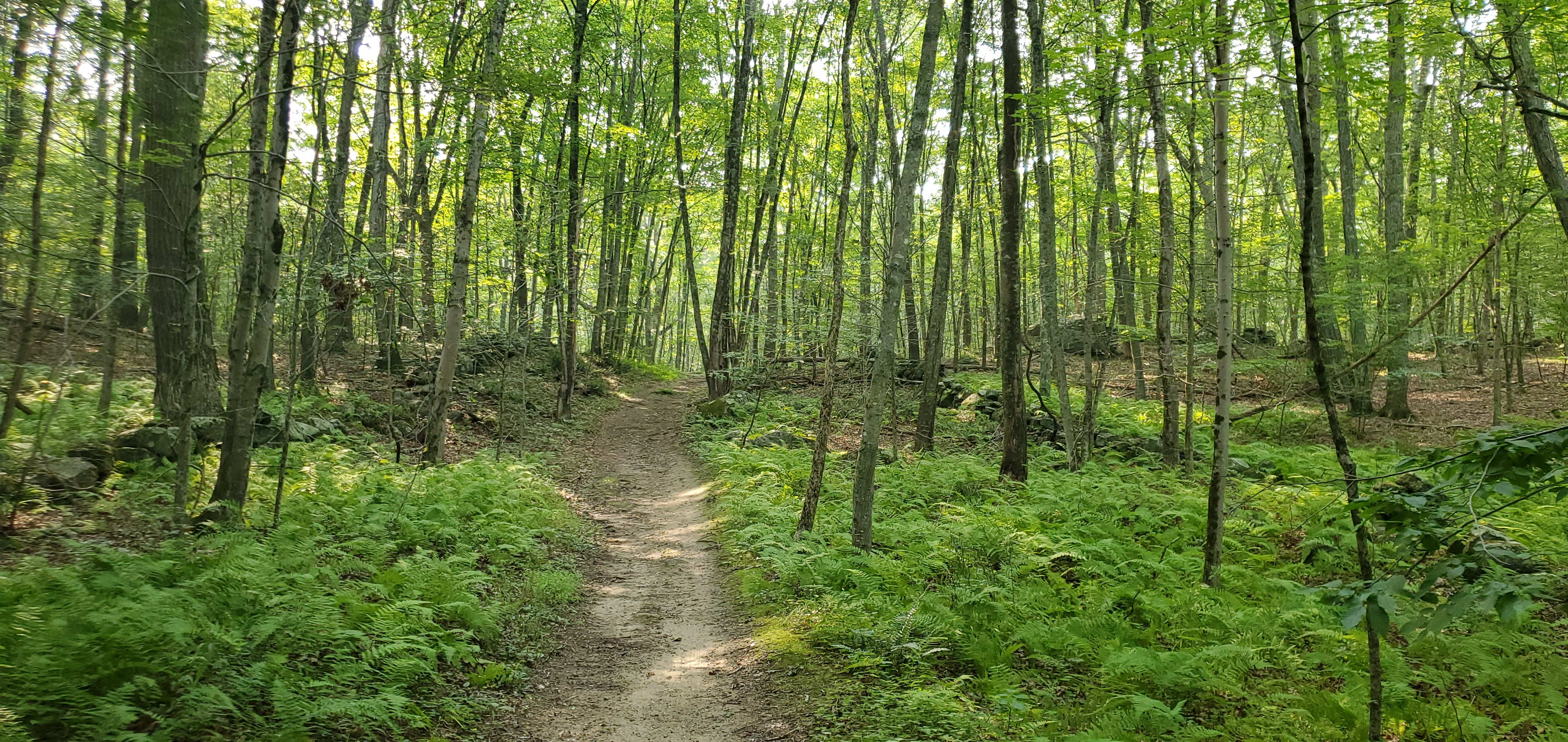 20250805_092741.jpg