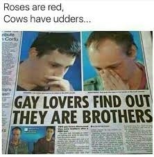 1a5t45evzomm.jpeg