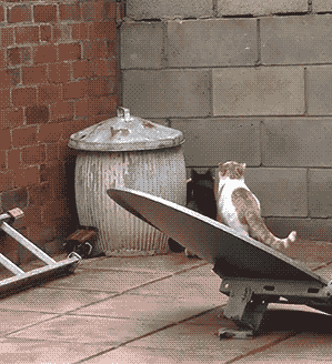 eax59eiiakp3.gif