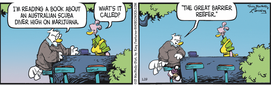 nt04on2hn71n.png