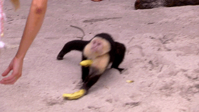 7yettja8q5sb.gif