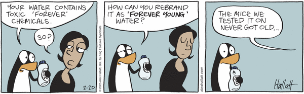 feyy9ojn8bdf.png