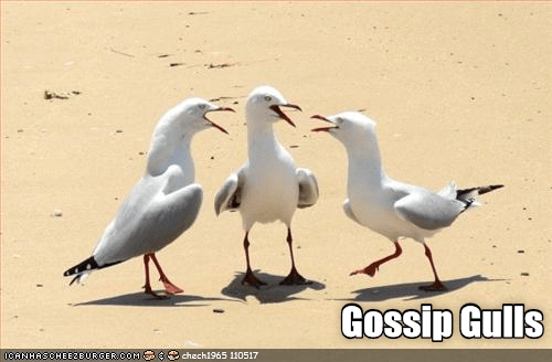 6c6jm3t507y6.png