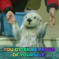 9vhjql3g8jrn.gif