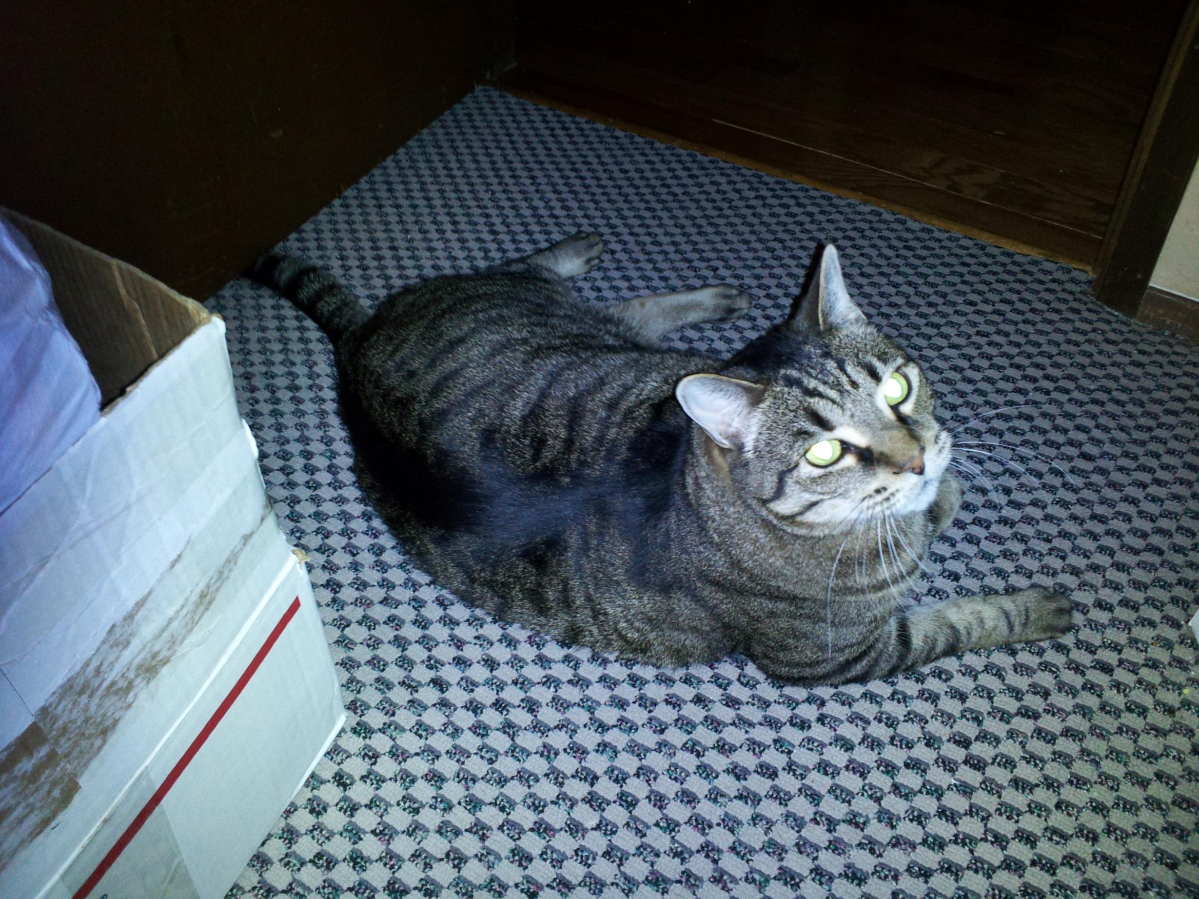2011-06-25 14.41.54.jpg