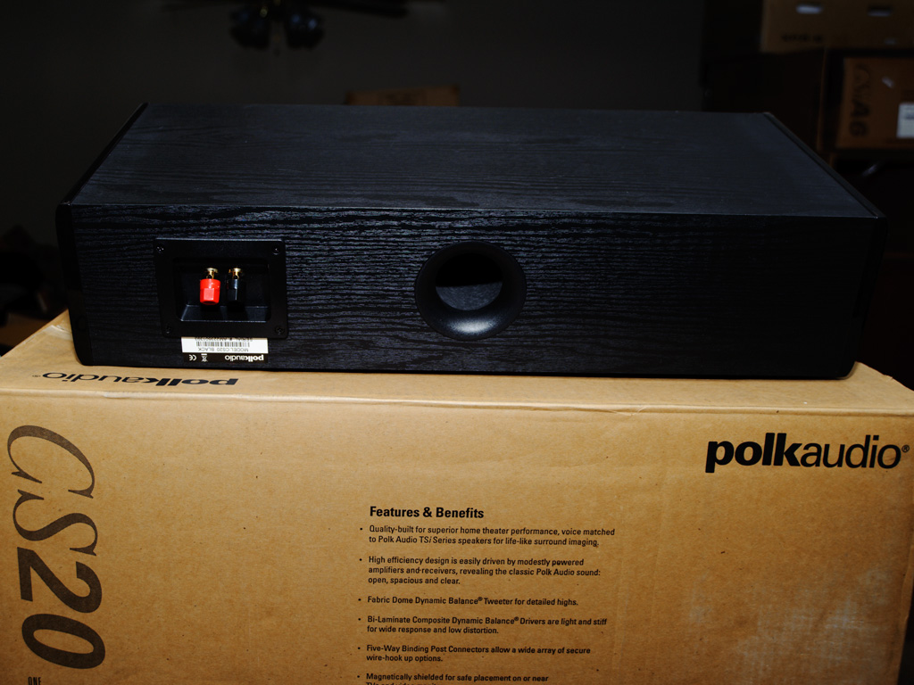 polk cs20