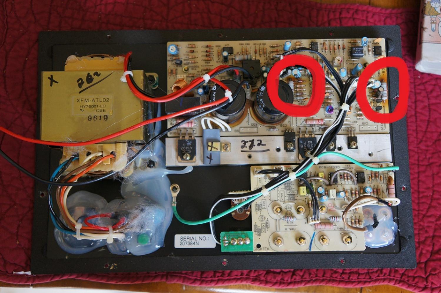 Amp Internal Burn Marks.jpg