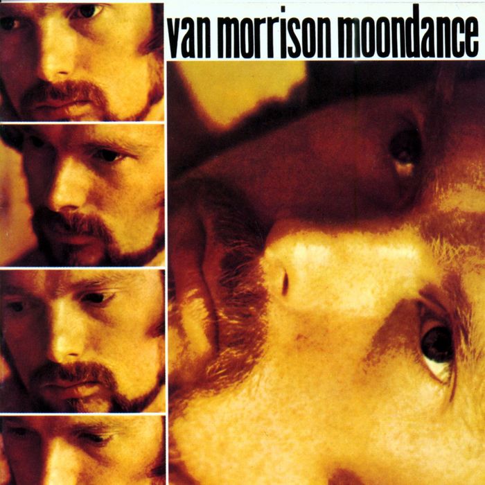 van-morrison-moondance.jpg