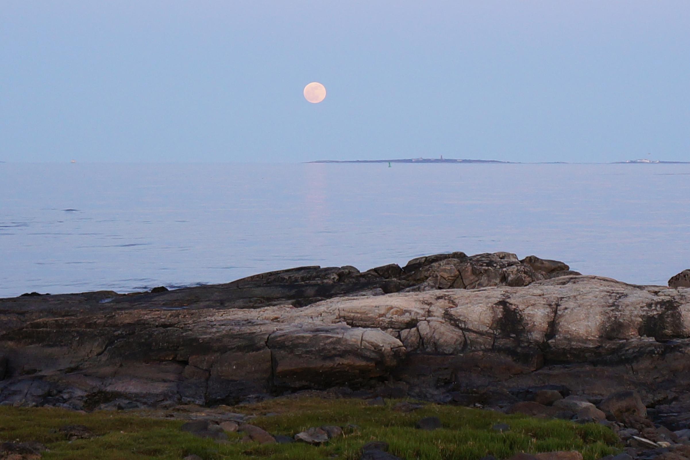 Moon Rise 5[3].jpg