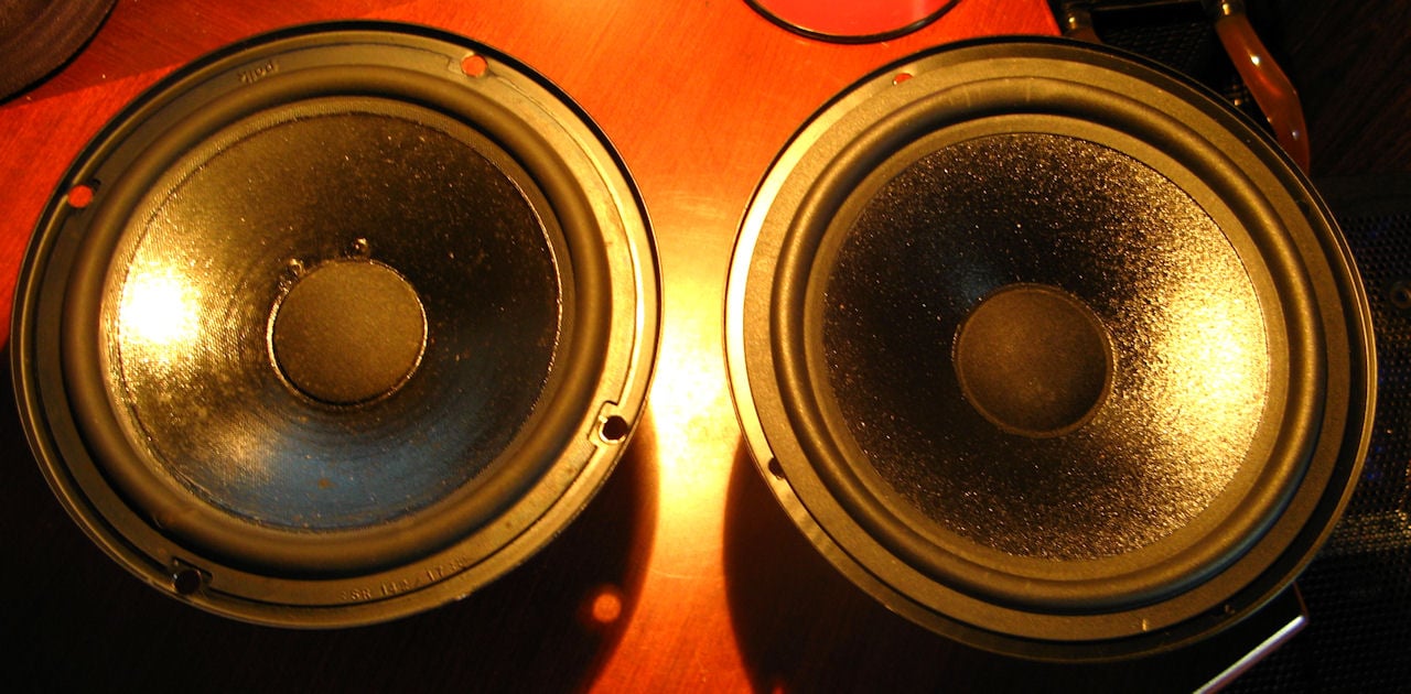 new polk MW6510 replacement driver (RD65191) — Polk Audio Forum