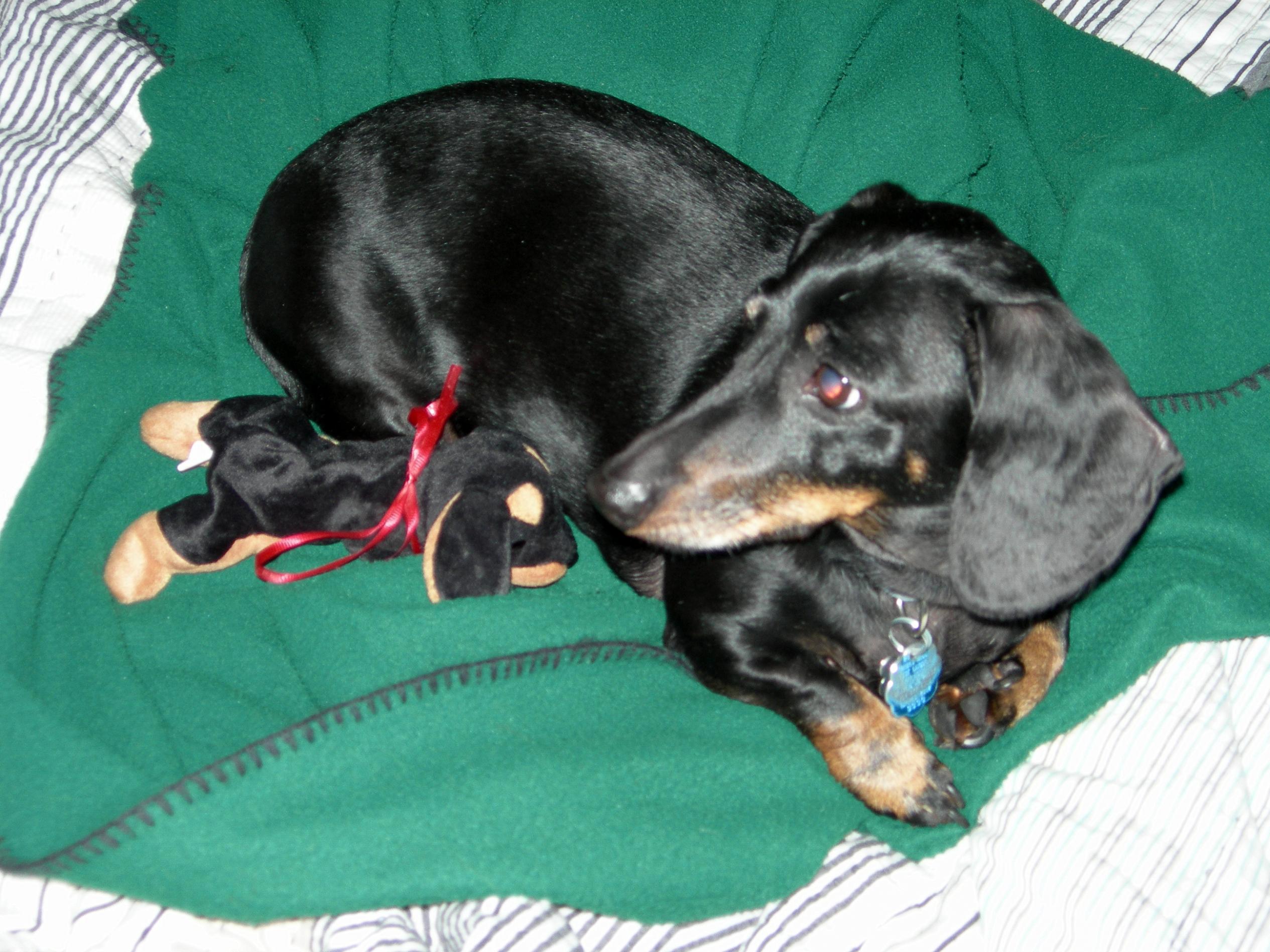 DSCN9288.jpg