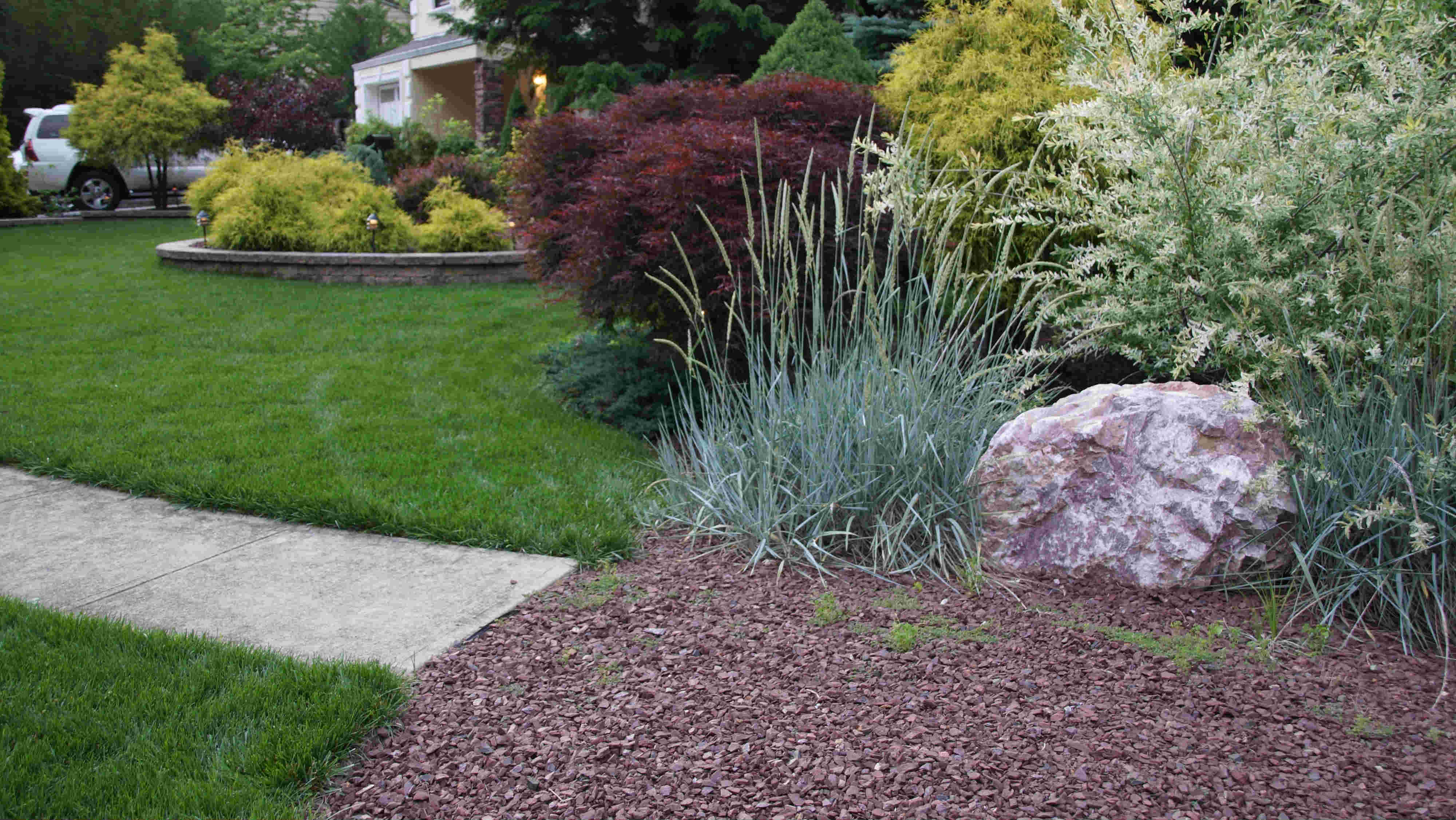 lawn.jpg
