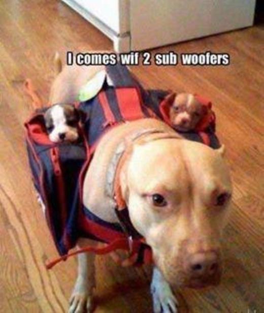 subwoofers.jpg