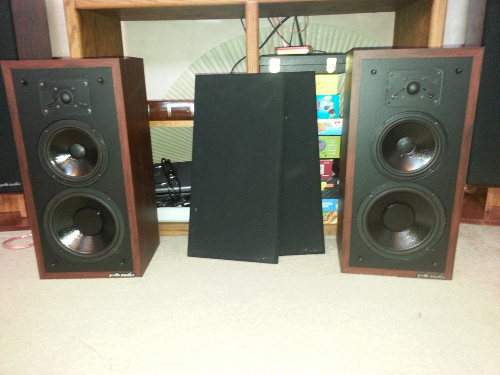 monitor 5a 2.jpg