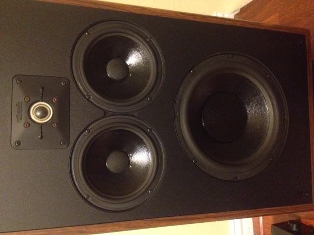 newbie please. vintage polk monitor 