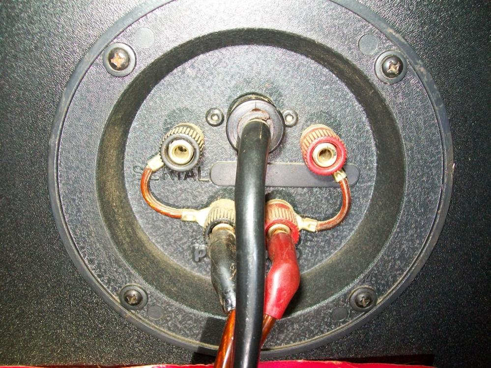 speaker connection.jpg