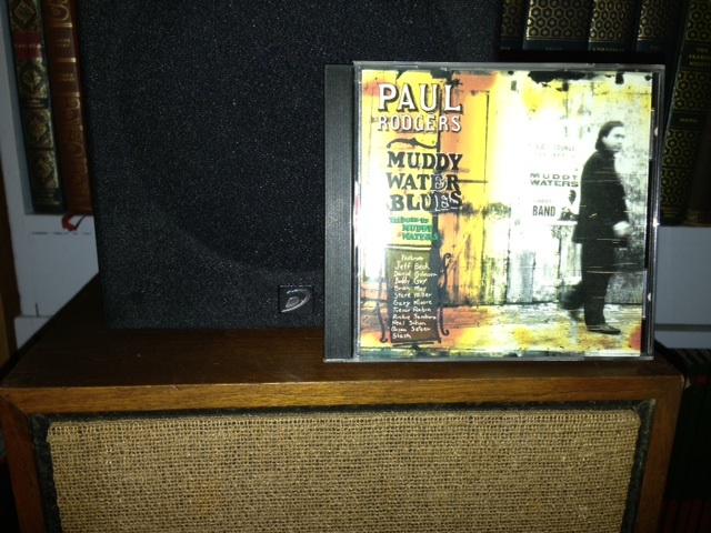 Paul Rodger Muddy Waters Blues.jpg