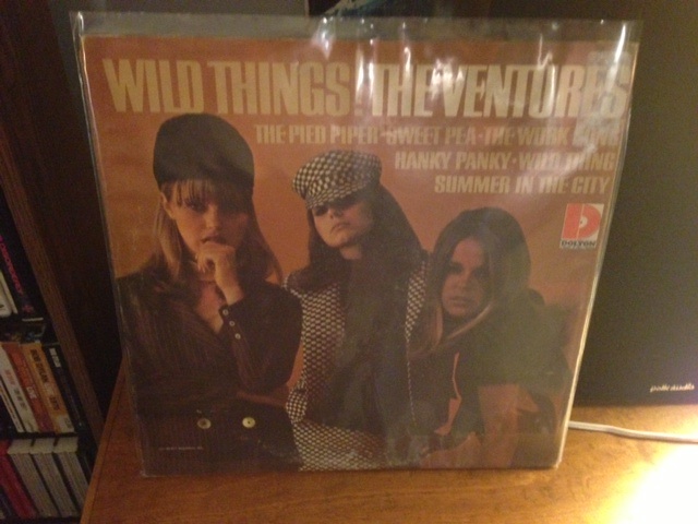 Ventures Wild Things.jpg