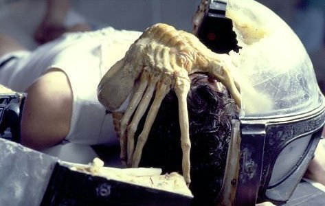 Facehugger-alien-aliens-8255454-473-300.jpg