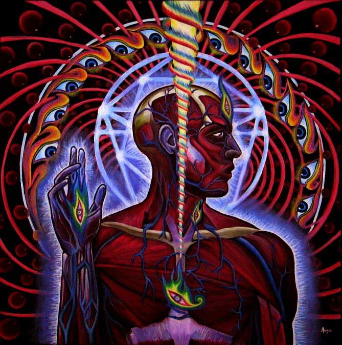 tool-lateralus[1].jpg