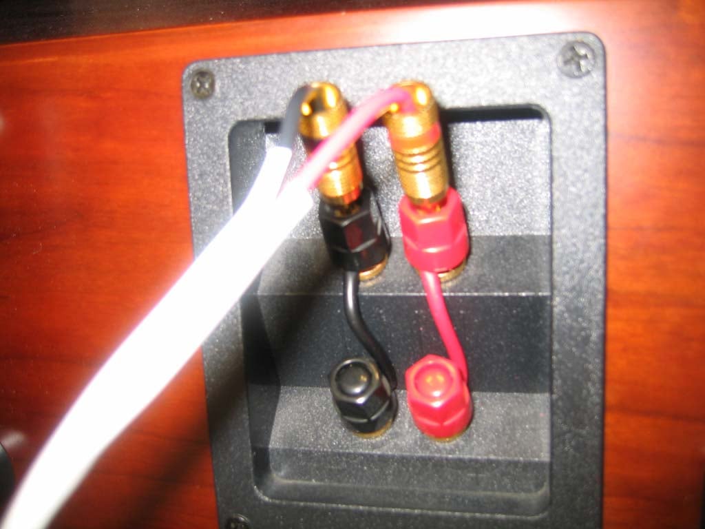 Gold plated bar jumpers — Polk Audio Forum