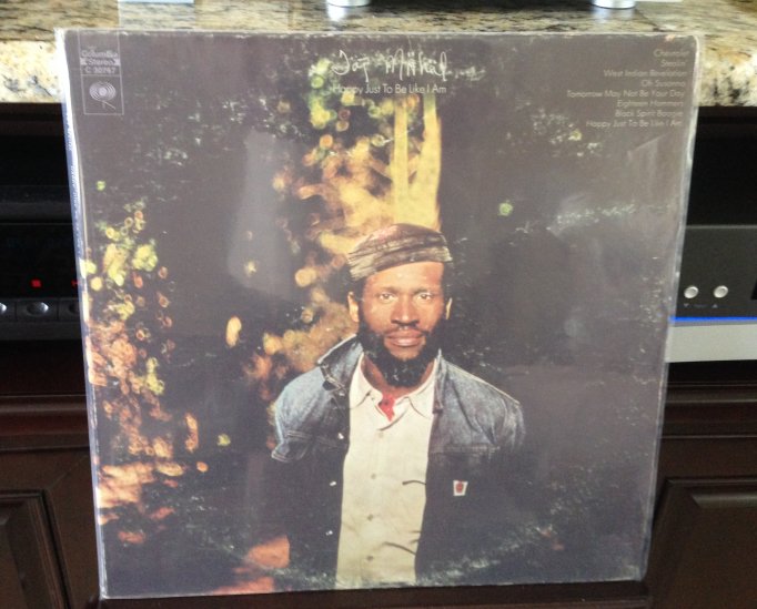 taj happy to be just like i am.jpg