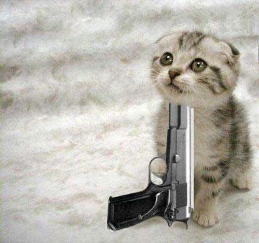 1 cat suicide.jpg