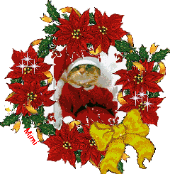 xmascat.gif