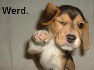 werd.jpg
