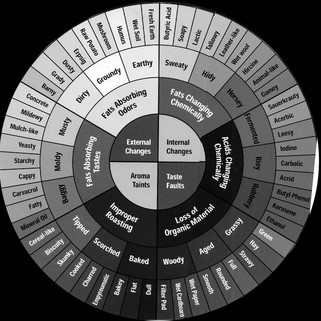 Дескрипторы кофе. Колесо вкусов кофе sca. Вкусовые дескрипторы кофе. Вкусовые дескрипторы кофе. Вкусовые дескрипторы кофе.