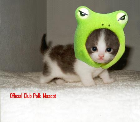 Green kitty1.JPG