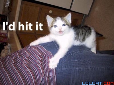 idhititkitten.jpg