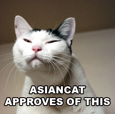 cat asian approves.jpg