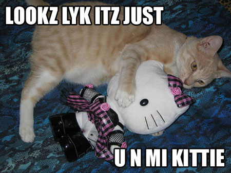 cat u n mi kitty.jpg