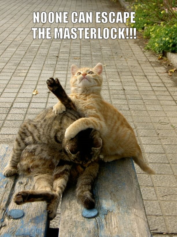 cat masterlock.jpg