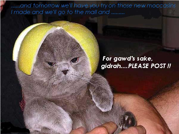 cat fruitcat gidrah.JPG